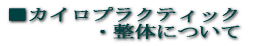 �J�C���v���N�e�B�b�N�E���̂ɂ���